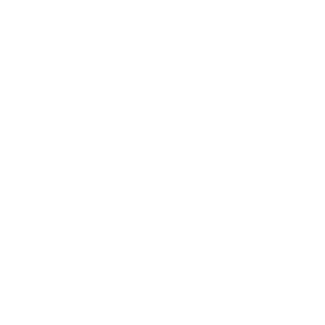 logo edenor