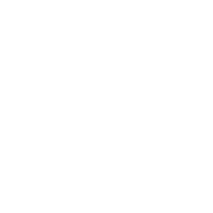 logo fully