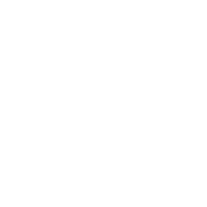 logo raizen