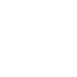 logo sancor