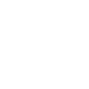 logo shell