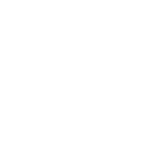 logo veritran