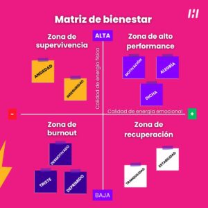 Matriz de bienestar